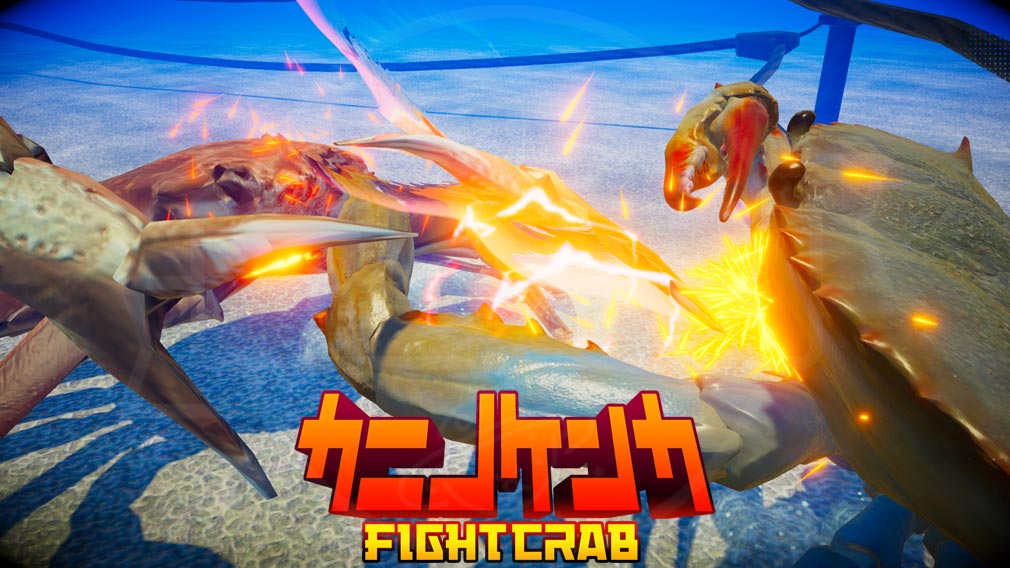 カニノケンカ Fight Crab　メインイメージ