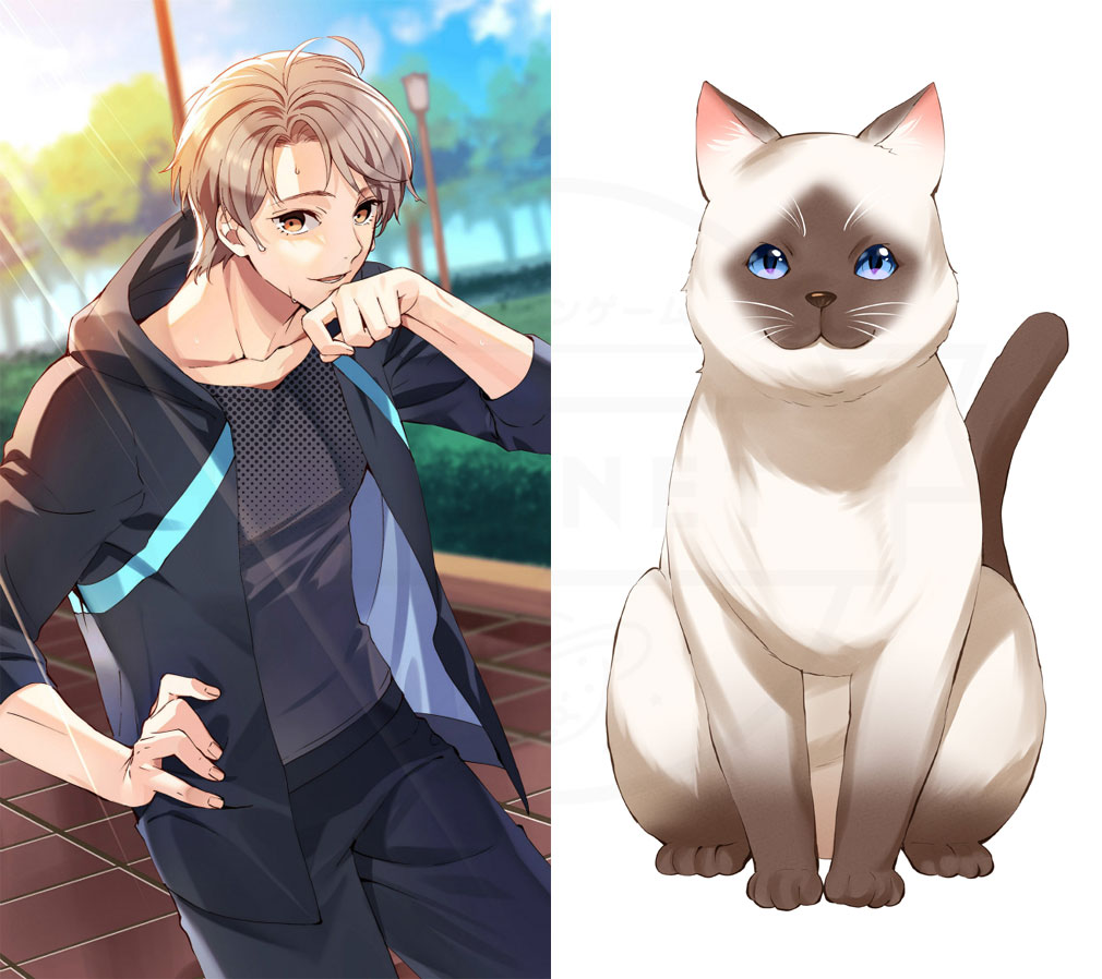 束縛彼氏　キャラクター『新藤 暁』とペットの猫紹介イメージ