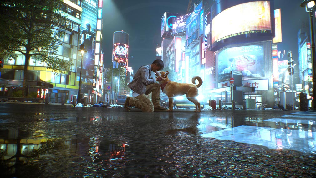 Ghostwire: Tokyo　柴犬との触れ合いスクリーンショット