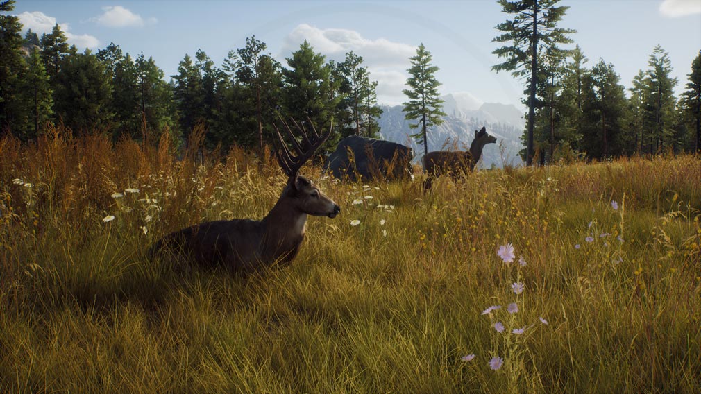 Way of the Hunter（ウェイオブザハンター）　プレイヤーの存在を感知した動物スクリーンショット