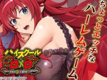 ハイスクールD×D Operation paradise infinity