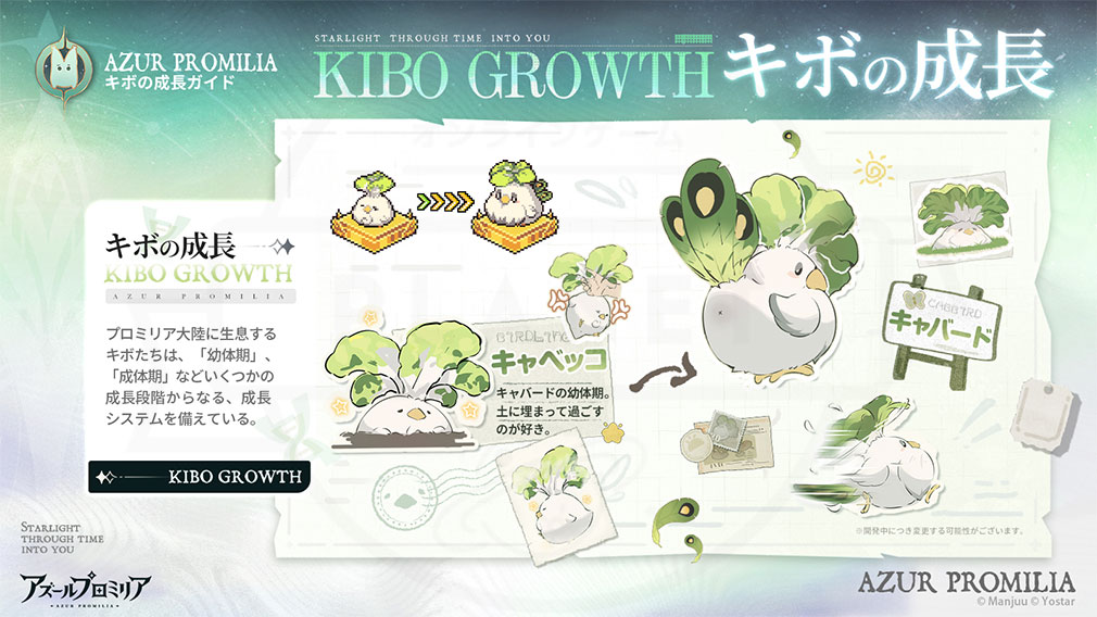 アズールプロミリア（Azur Promilia）　『キボ』の成長紹介イメージ