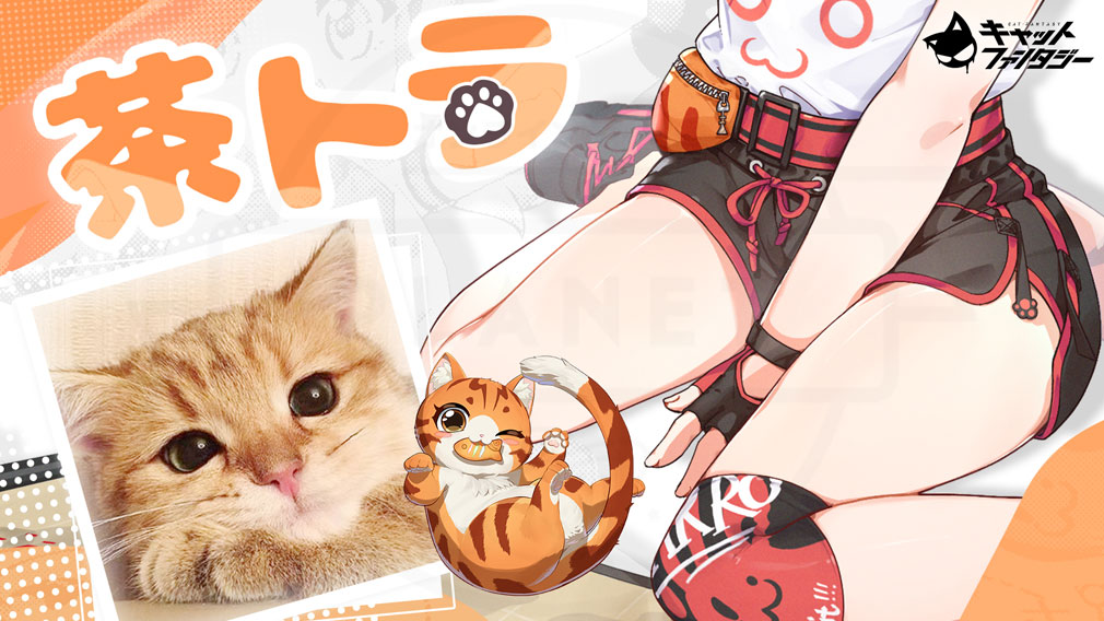 キャットファンタジー（Cat Fantasy）　イナのモデル猫『茶トラ』紹介イメージ