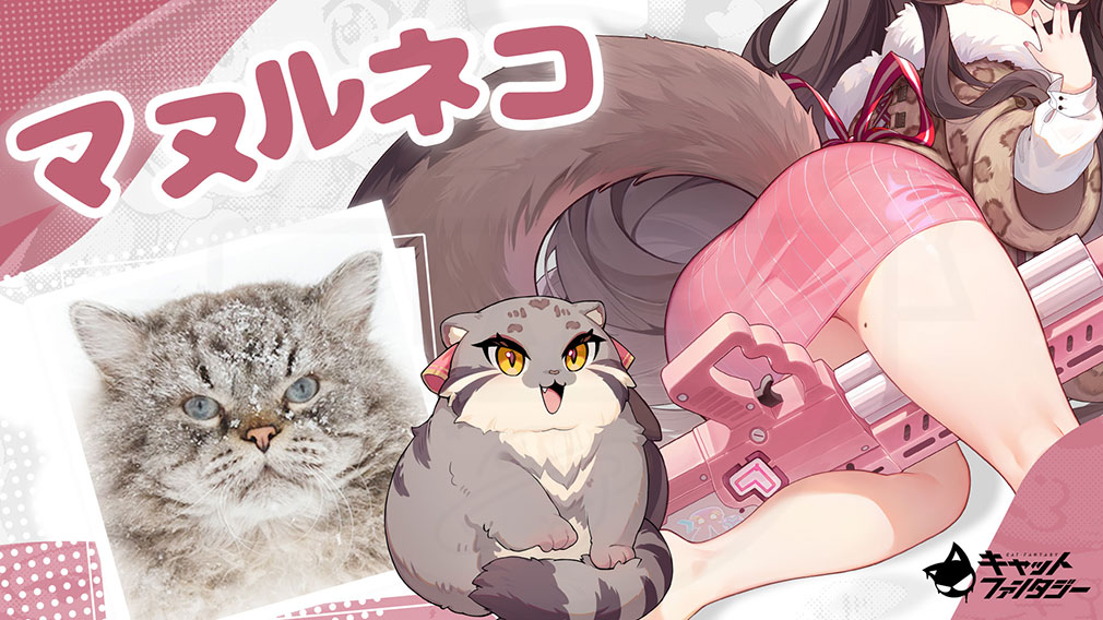 キャットファンタジー（Cat Fantasy）　イブリーナのモデル猫『マヌルネコ』紹介イメージ