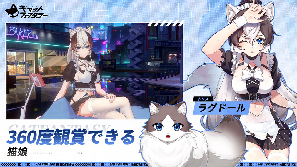 キャットファンタジー（Cat Fantasy）　3Dグラフィックスのネコ娘紹介イメージ