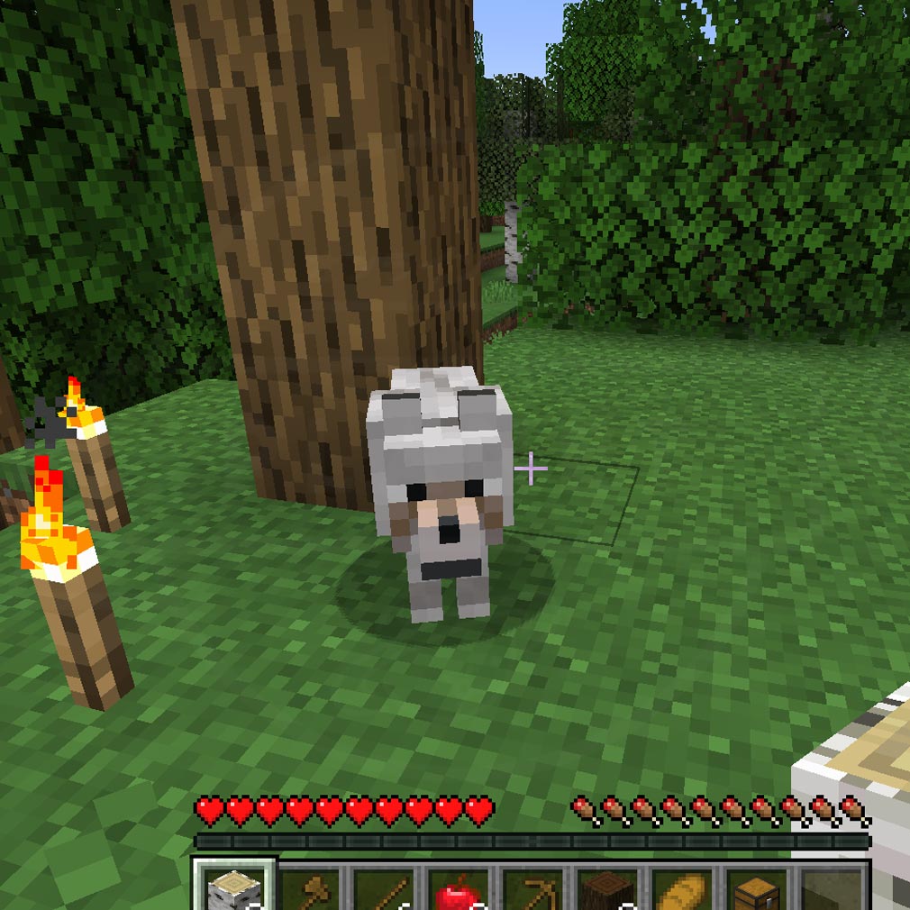 Minecraft（マインクラフト）マイクラ　体力や満腹度、『経験値』が表示されているUIスクリーンショット