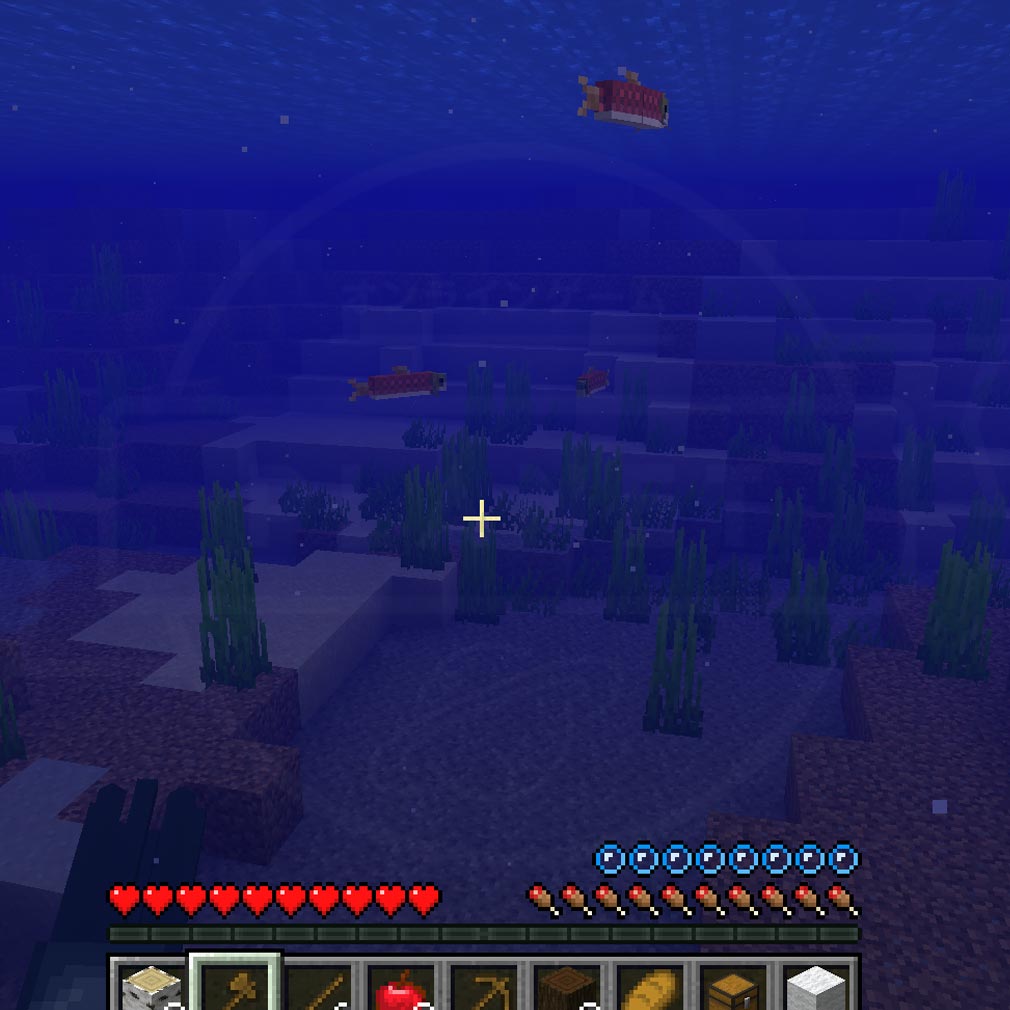 Minecraft（マインクラフト）マイクラ　水中探索スクリーンショット