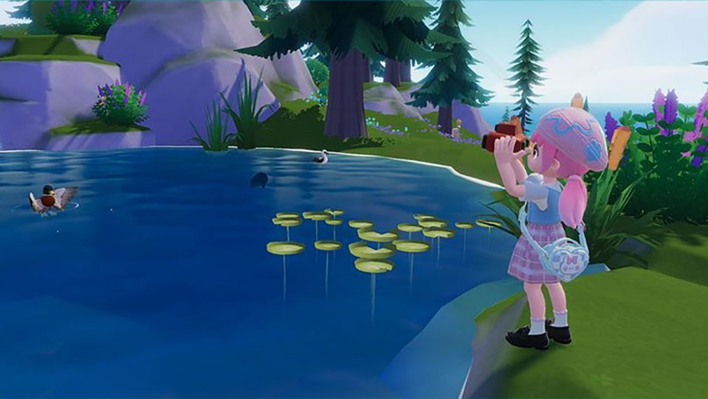 ハートピアスローライフ　『野鳥観察』紹介イメージ