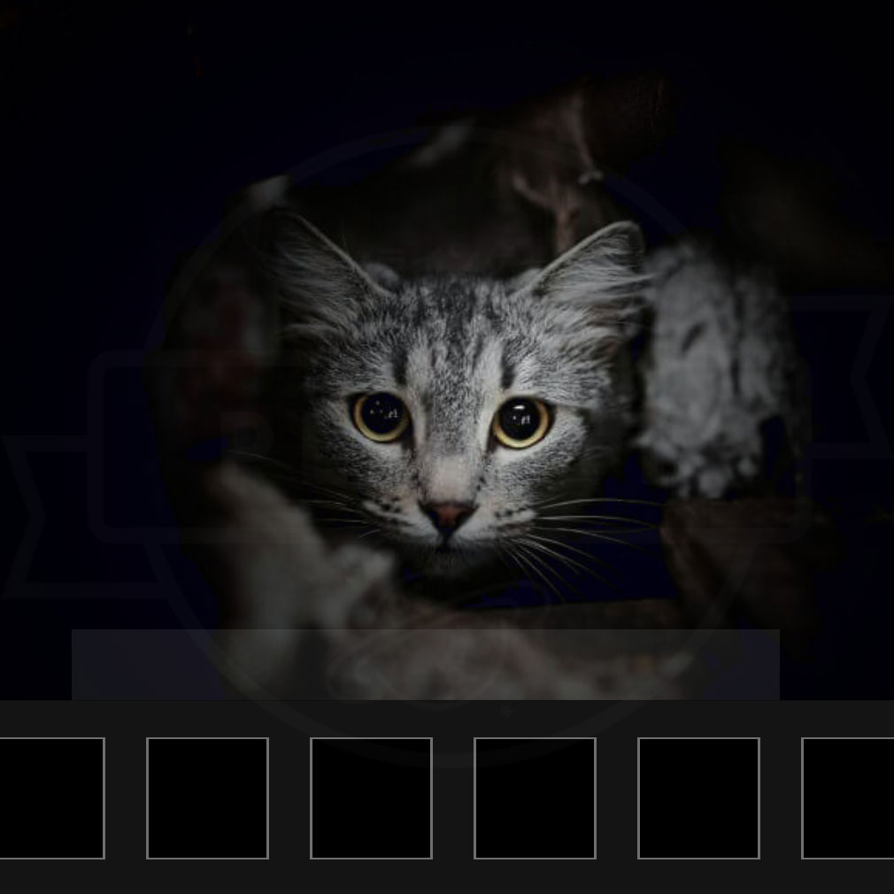 呪いの神社からの脱出 猫が出てきたスクリーンショット