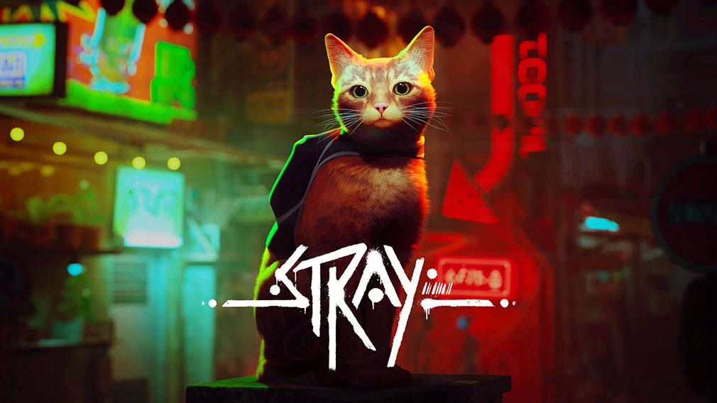 Stray(ストレイ) キービジュアル