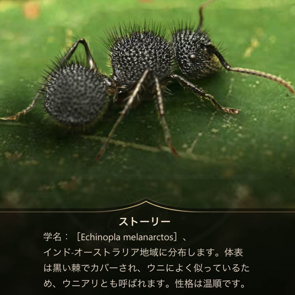 ザ・アンツ アンダーグラウンド キングダム ハリセンボンアリ獲得スクリーンショット