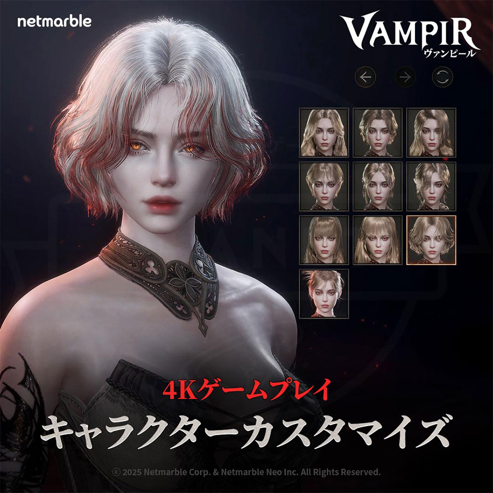 ヴァンピール（VAMPIR）　キャラクターカスタマイズ紹介イメージ
