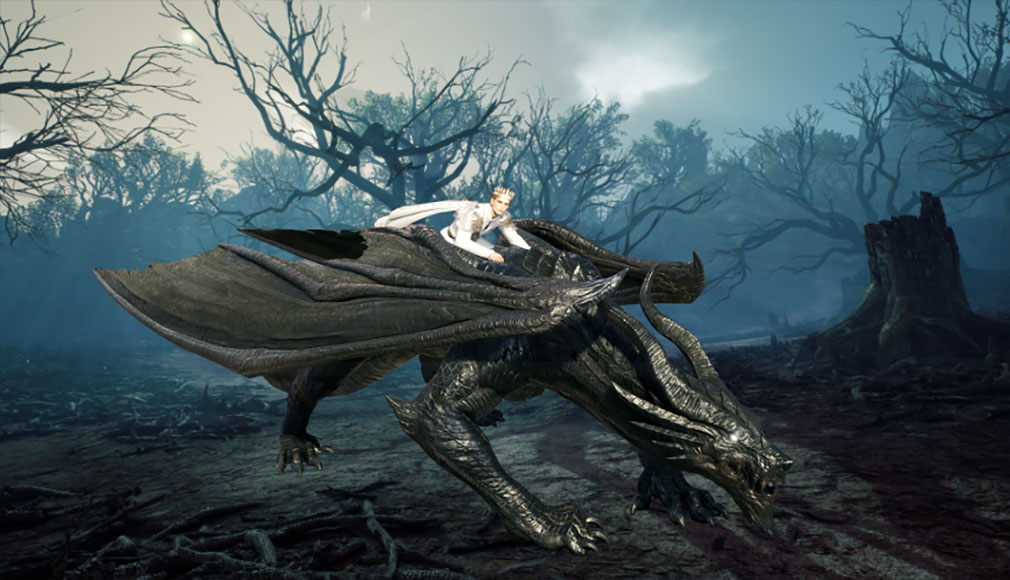 AION2(アイオン2) ペット『ブラックドラゴン』紹介イメージ